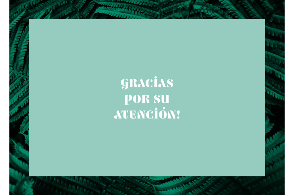 Gracias por su atención